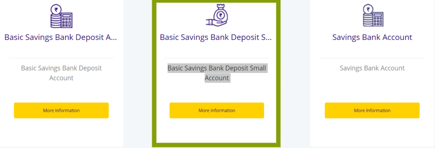 Basic Savings Bank Deposit Small Account